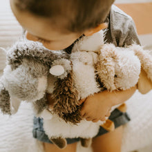 Load image into Gallery viewer, BUNNIES BY THE BAY - Every Hare Counts