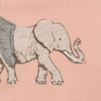 Load image into Gallery viewer, MILKBARN - Organic Cotton Tutu Elephant Appliqué One Piece