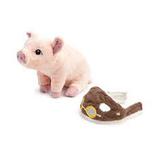 Load image into Gallery viewer, COMPENDIUM - Maybe Plush Pig