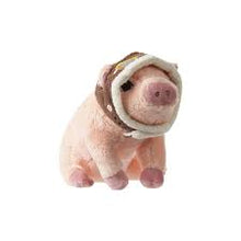 Load image into Gallery viewer, COMPENDIUM - Maybe Plush Pig