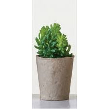 Load image into Gallery viewer, CREATIVE CO-OP  - Faux Succulent In Paper Pot
