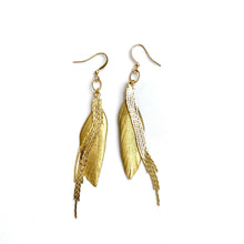 Load image into Gallery viewer, erin gray Gold Feather Dangler Earring
